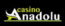 Anadolu Casino Logo